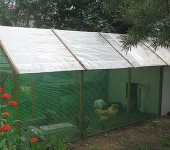 Summer chicken coop with walking