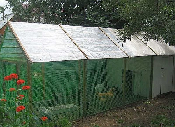 Summer chicken coop with walking