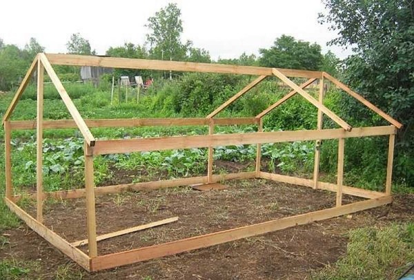 Summer chicken coop frame with walking