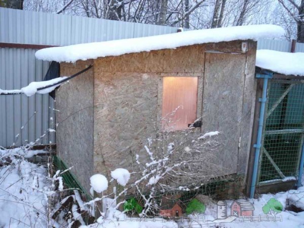 A warm barn for chickens and lighting are important for their normal well-being.
