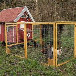 It's just a chicken house, not a barn
