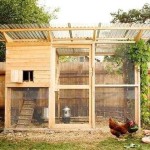 Another option with a high location of the mini-chicken coop