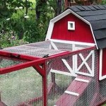 Mobile chicken coop for 5 chickens. Move at least every day