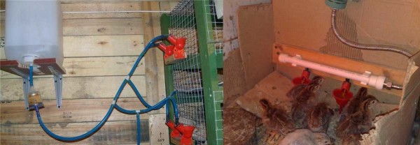 Installation options for drinking bowls