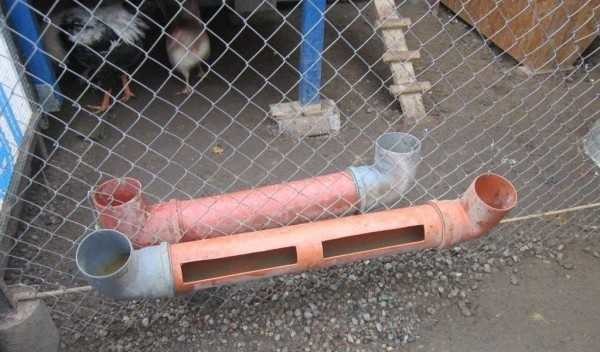 The second version of the PVC pipe feeder chicken