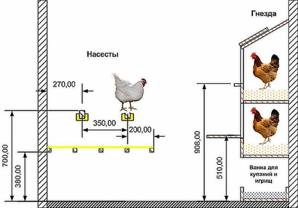 Arrangement of the chicken coop inside: recommended sizes