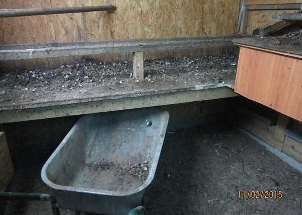 Chicken coop layout