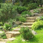 On a small slope, there may be enough planting, if you are, Of course, the garden on the slope suits