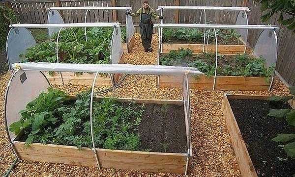 Simple greenhouse made of boards and PVC arcs
