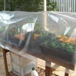 Arcs of thick wire attached to the box, film on top. Greenhouse on the balcony is ready