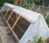 Triangular greenhouse made of boards