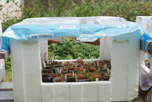 Have a plastic box? Can be adapted for seedlings
