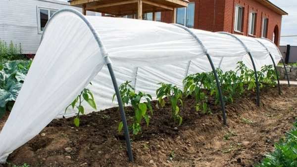 Greenhouse - it couldn't be easier