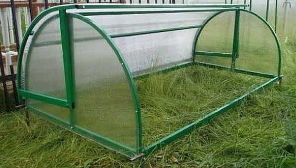 Such a greenhouse-bread box can be welded with your own hands from a profile pipe
