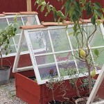 Two frames made up by a house: the plants are covered from drafts, and the sides can be covered with foil