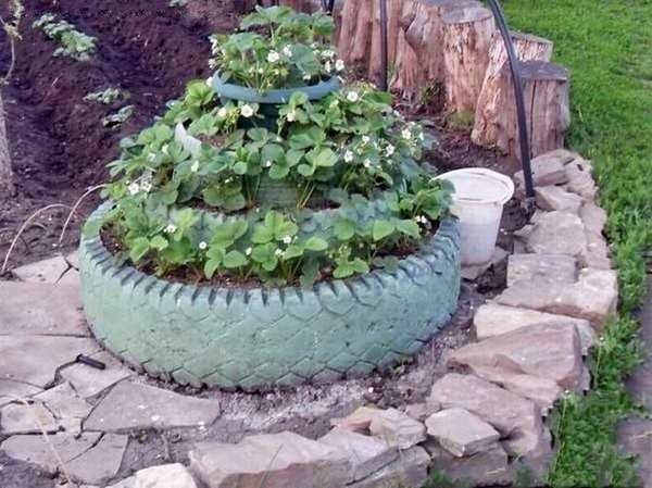 Tires with cut edges can be used to make a tall strawberry bed