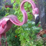 Graceful pink flamingo in the company of chickens)))