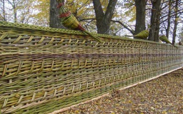 Wattle is one of the cheapest fences, especially if young shoots can be cut in a nearby forest