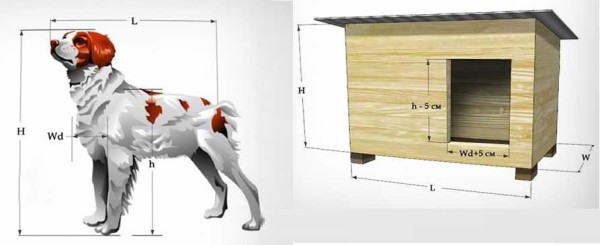 Sizing a dog kennel