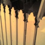 Lily tops - the fence will be beautiful