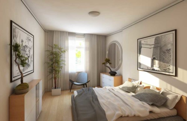 The highlight in this interior is well-chosen colors and live plants.