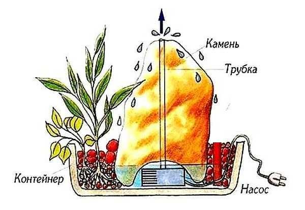 Diagram of the organization of a decorative fountain for a summer residence