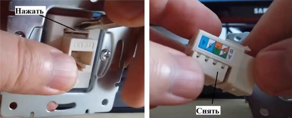 How to disassemble an Internet outlet Lezard (Lesard)
