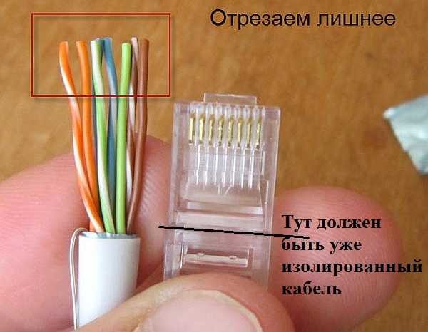 Cut off so that there are 10-12 mm wires
