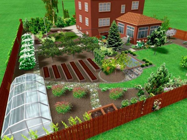 Site plan - we place the house and the main buildings