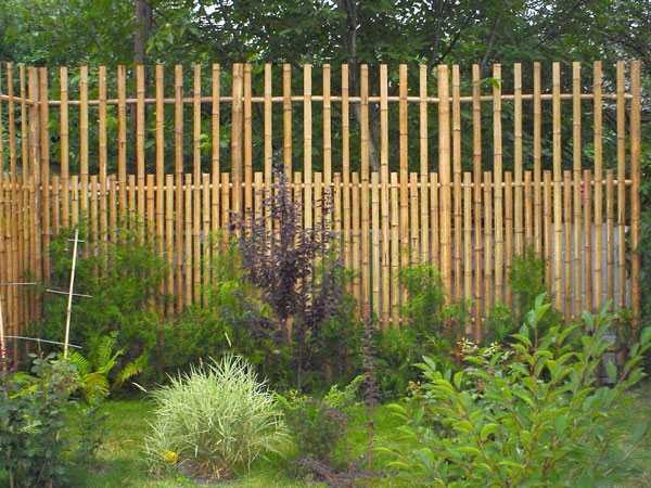 An ordinary picket fence with a non-standard approach also looks good