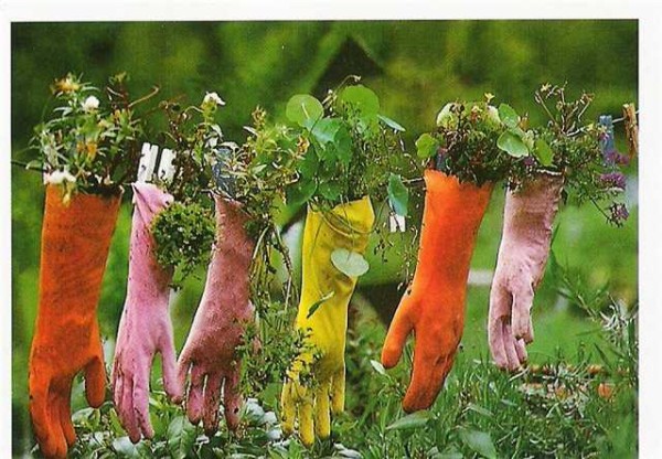 Hanging flowerbeds of gloves