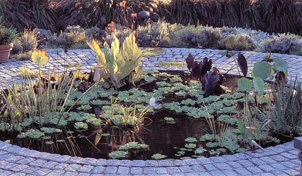 Paving stones - you don't need to look for anything, everything is in the store