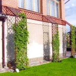 Beautiful trellises for climbing plants