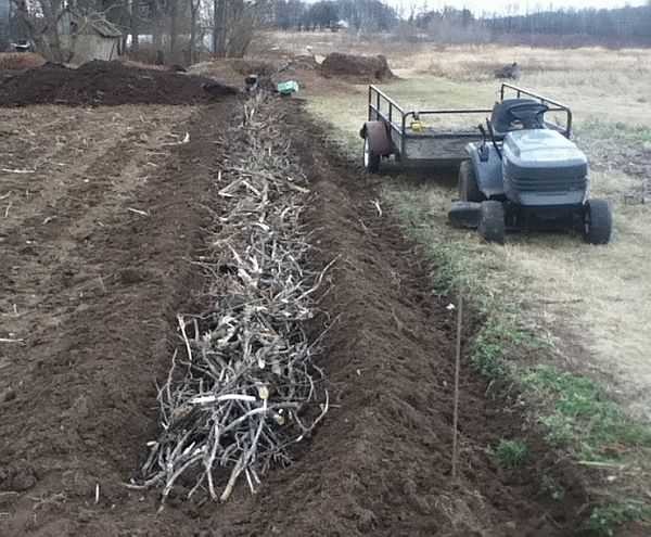 Internal arrangement of bulk beds