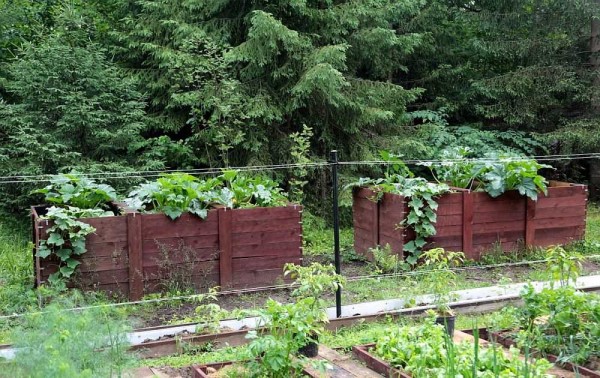 On one site there are very high beds and not very ...