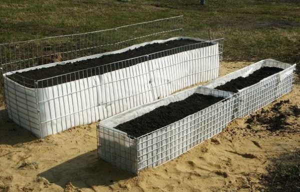 High beds in wire baskets