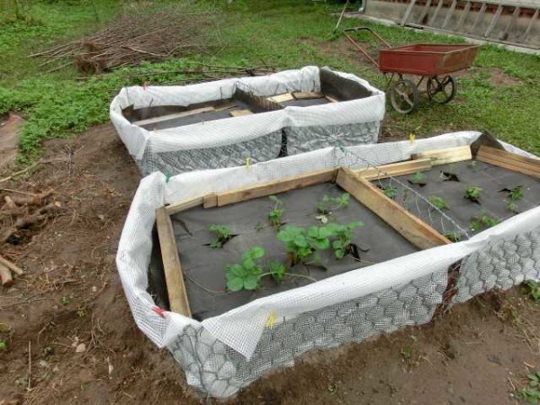 One of the options for a high bed