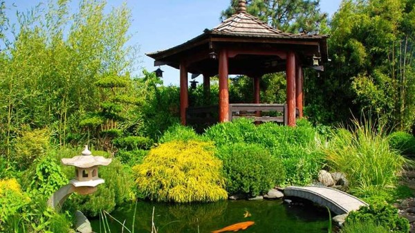 pond design in the garden