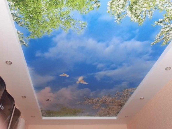 Photo printing on the ceiling