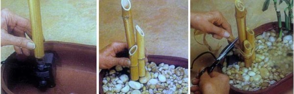 Filling the mini fountain