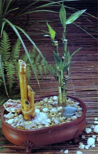 DIY home mini fountain