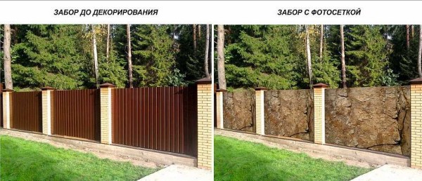 Photo grid on a fence made of profiled sheet with brick pillars