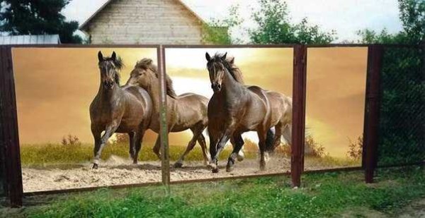 You can order the drawing yourself: at least horses, at least guard dogs)))