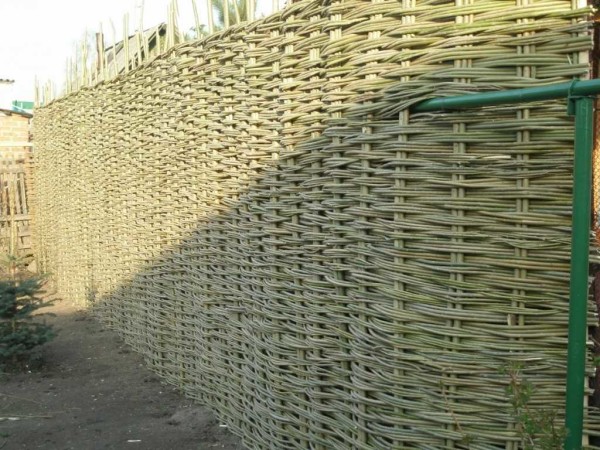 Complete fencing, no worse than the rest
