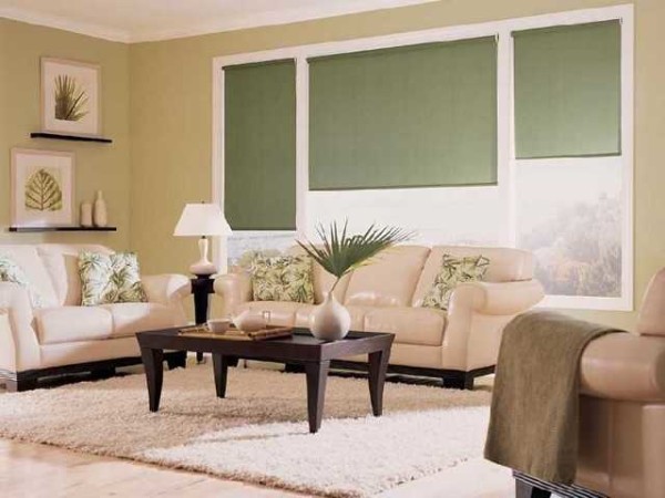 Living room roller blinds - for a dynamic interior