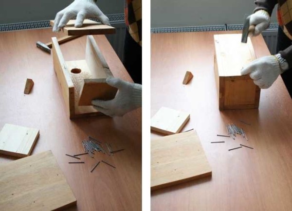 Insert the bottom and nail the back wall