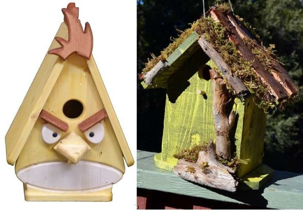 Creative can be safe for birds too))