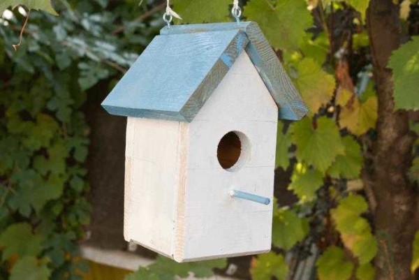 If such a house is hung on a birch, it will be invisible