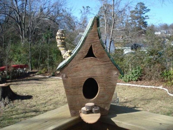 Unusual shape