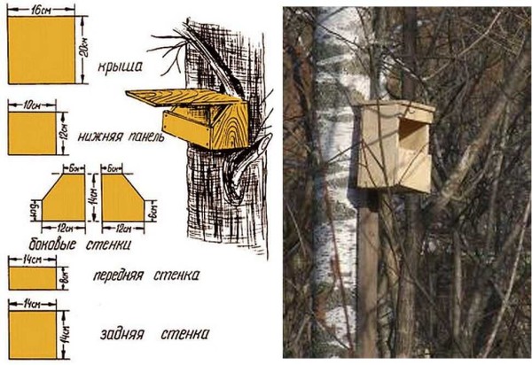 Half-house for gray flycatcher